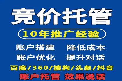 案例解析：SEM托管助力电商销售增长